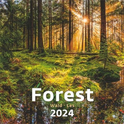 Naptár, fali, DAYLINER, "Forest"