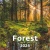 Naptár, fali, DAYLINER, "Forest"